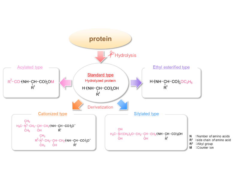 Seiwa Kasei's protein unlocks a new era of skincare and haircare excellence